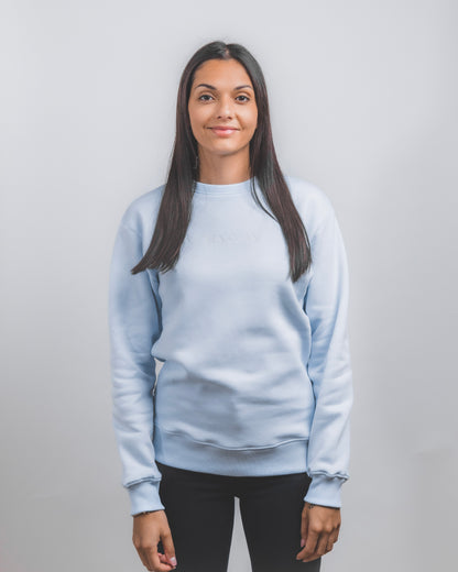 Basic Fit Pullover Blau - Unisex